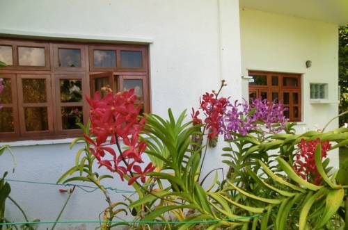 Victoria Seychelles Promo Code Booking.com