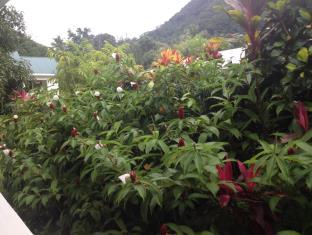 Seychelles Islands Promo Code Agoda.com